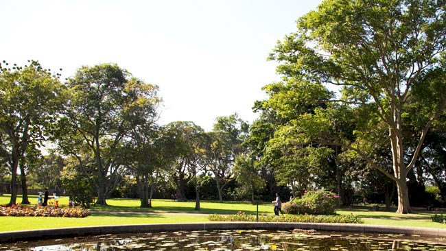 Parks in Morningside, Durban