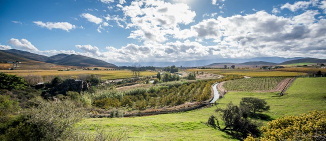 Robertson Wine Valley