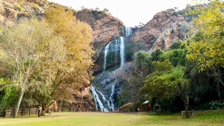 Budget friendly things to do in Johannesburg 