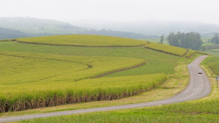 The Sibaya Precinct is open for development