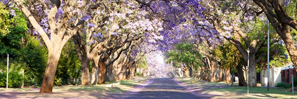 Pretoria Property: what to expect in 2016
