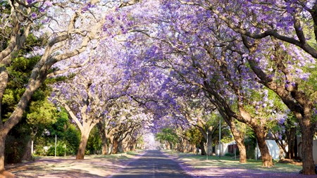 Pretoria Property: what to expect in 2016
