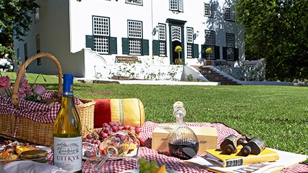 Picnic in the winelands