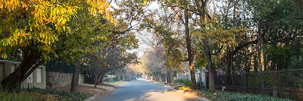 Craighall Park area and property guide