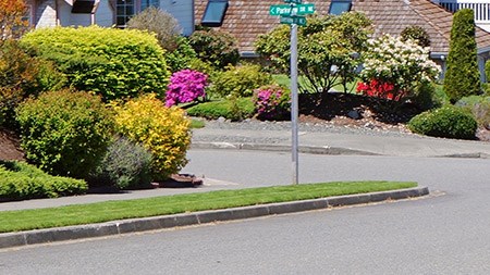 Curb appeal - does it make a difference? 