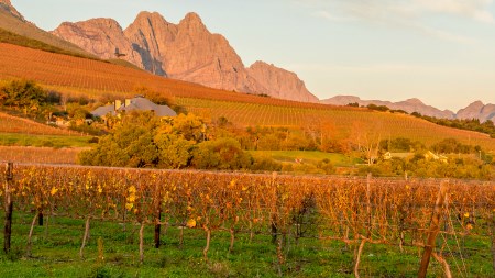 How new property laws could affect the Cape Winelands