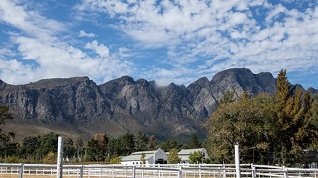 Cape vineyard neighbourhoods attract discerning buyers