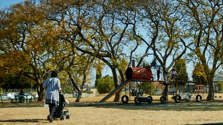 Sydenham suburb focus