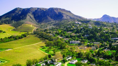 Suburb focus on Constantia