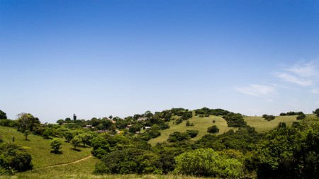 Suburb focus on Cowies Hill 