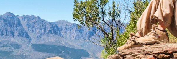 Area and property guide to Clanwilliam 