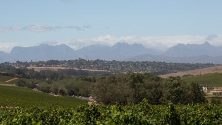 Blogger, Tertia Albertyn tells us about Durbanville