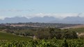 Blogger, Tertia Albertyn tells us about Durbanville