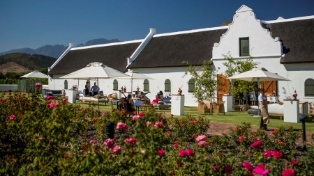 South African master celebrated at La Motte