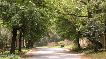 Rivonia area and property guide