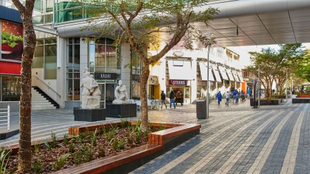 Suburb Focus on Rosebank