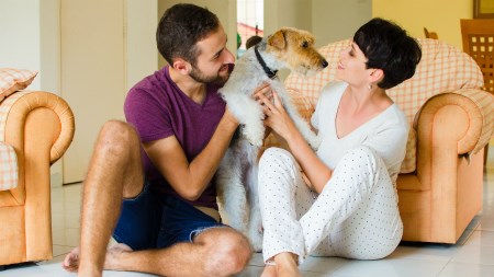 Home designs for your four-legged family  
