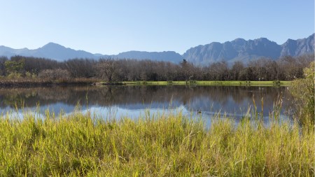 A guide to retiring in the Winelands