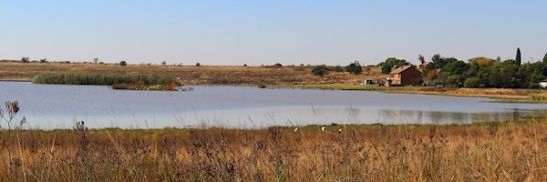 Why Midrand is a property hotspot