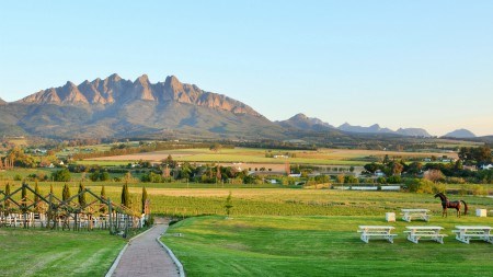 Wellington: a hidden gem in the Winelands