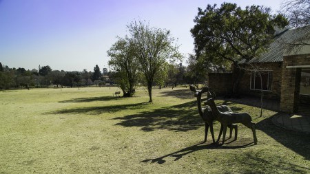 Suburb focus on Morningside in Gauteng