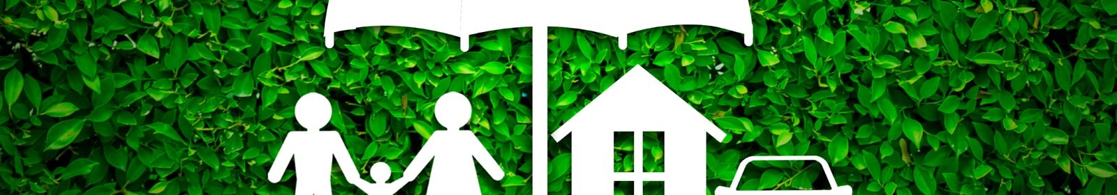 Lean and green with renewable energy solutions – but are you adequately insured?