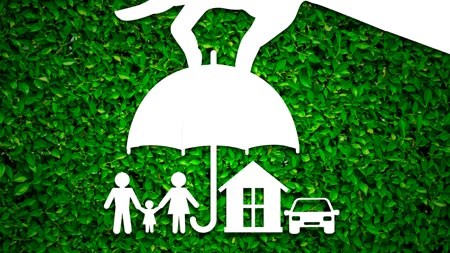 Lean and green with renewable energy solutions – but are you adequately insured?