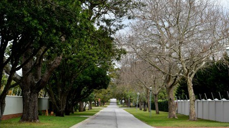 Suburb focus on Upper Walmer