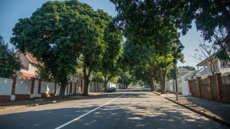 A guide to Florida Road, Durban