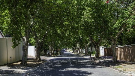 Property guide to Parktown North 