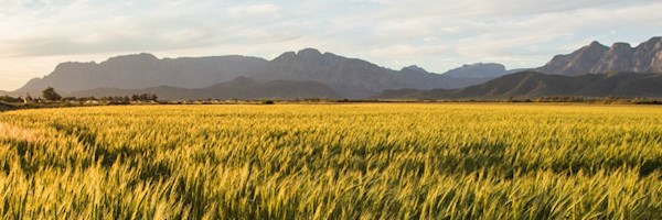 No need to panic over land expropriation without compensation