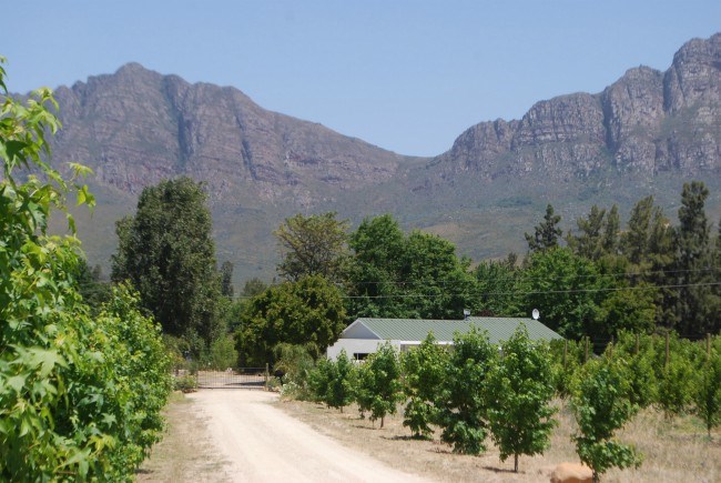 farm for sale in Boland