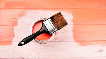 Living Coral: PANTONE Colour of the Year 2019