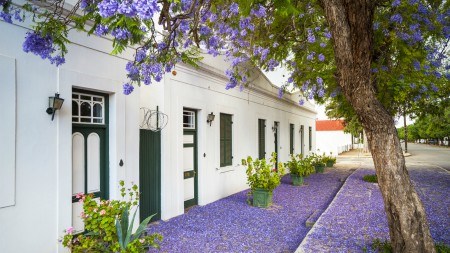 Buyer’s Guide: Graaff Reinet