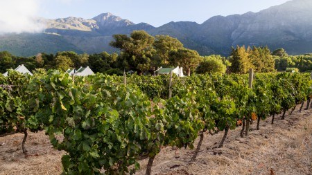 Find your joie de vivre at Val de Vie Estate