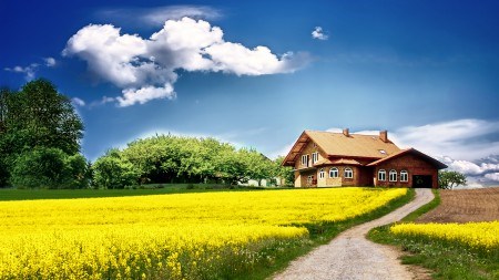 Countryside homes a good alternative to emigration 