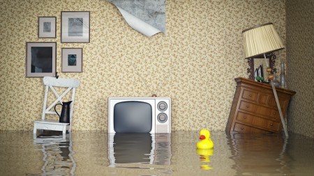 How to flood-proof your property