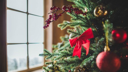 Budget tips for the festive season