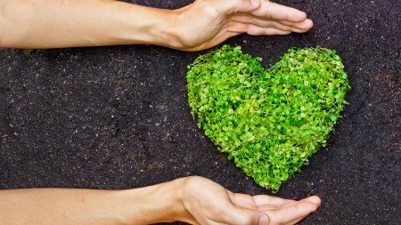 Creating a vegan (or planet conscious) home