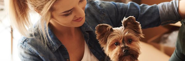 Top 5 pet-friendly areas to rent in South Africa