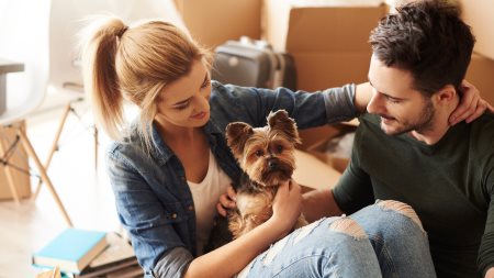 Top 5 pet-friendly areas to rent in South Africa