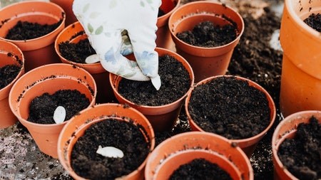 How to make a compost heap at home