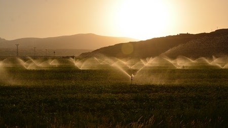 DIY Garden Irrigation Systems: A How-To Guide