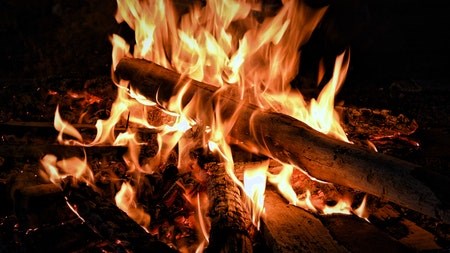 The Best Braai Wood for a Perfect Flame