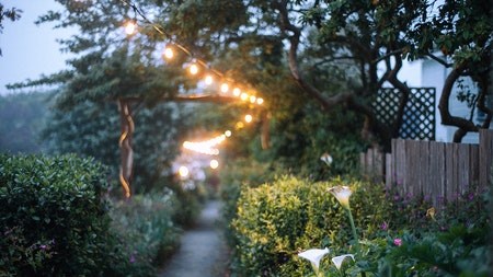 Wildlife-friendly garden lighting
