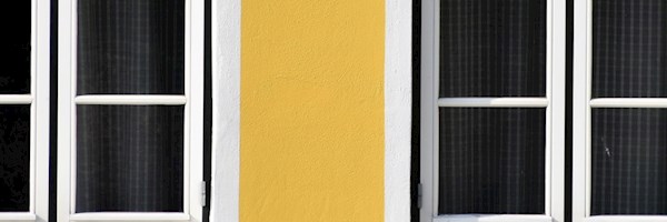 Which exterior wall finish is best for your home?