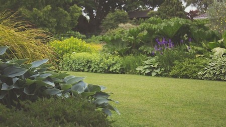 Garden screening