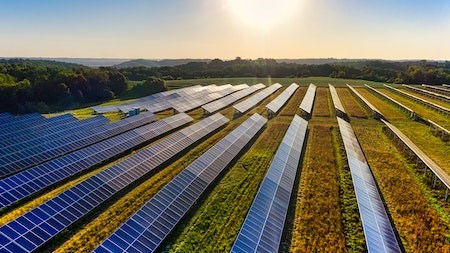 The impact of solar farms on nearby property values 