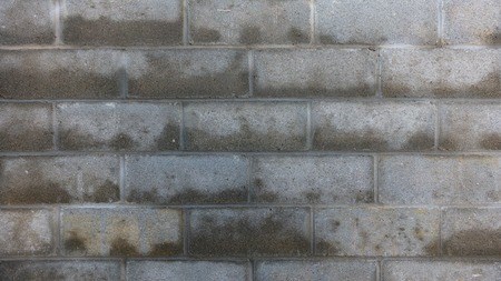 Sellers concealing damp problems may be acting fraudulently