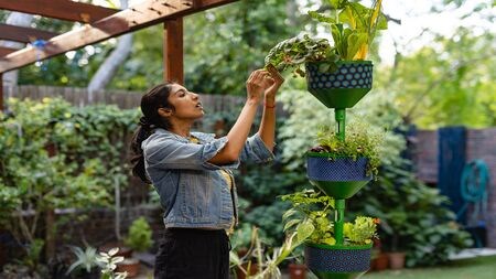 The eco-smart garden may help you sell quickly